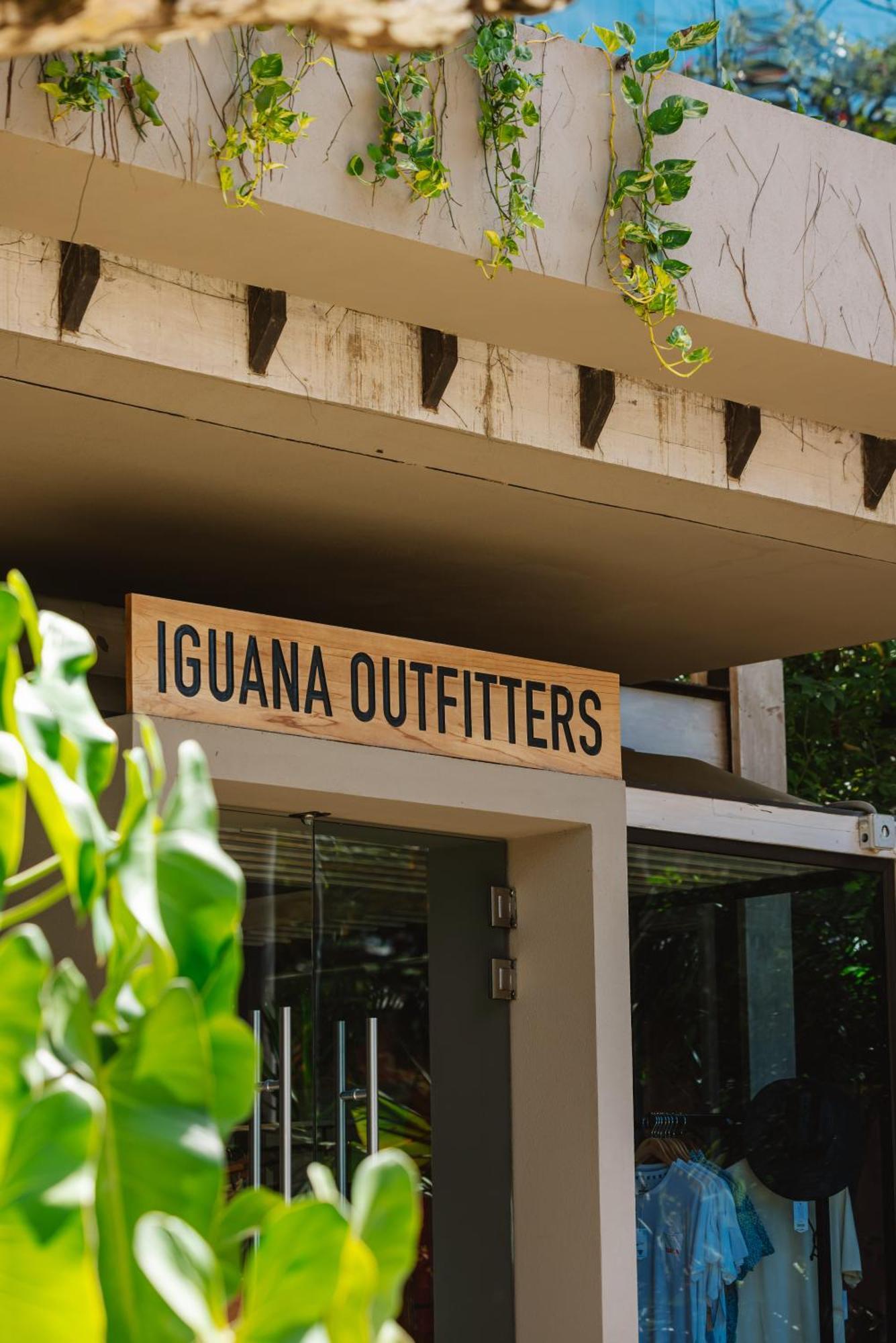 The Gilded Iguana Hotel Носара Екстериор снимка