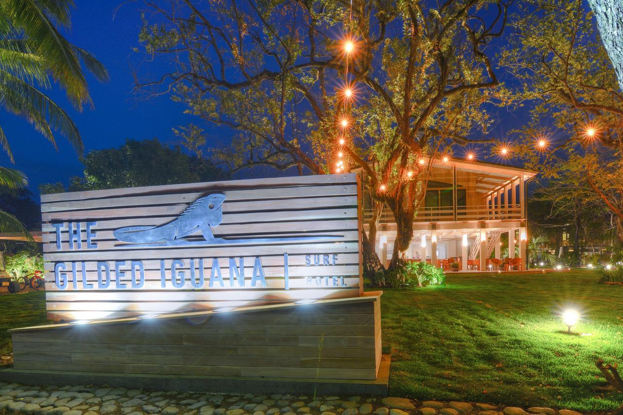 The Gilded Iguana Hotel Носара Екстериор снимка